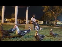 Kodak Black - Lil Birdie [Official Music Video]