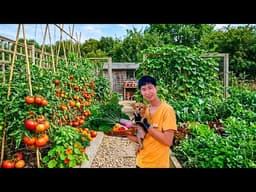 100 Genius Small Kitchen Garden Ideas That Look Bigger & Grow More Food