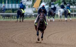 Golden Tempo Repeats Kentucky Derby Magic at Belmont Stakes, But Many Reject Legendary Horse Comparison