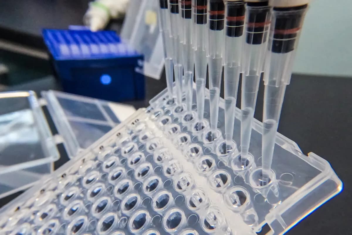 Building Inclusive Genomic Medicine: The Ethical Path to ...