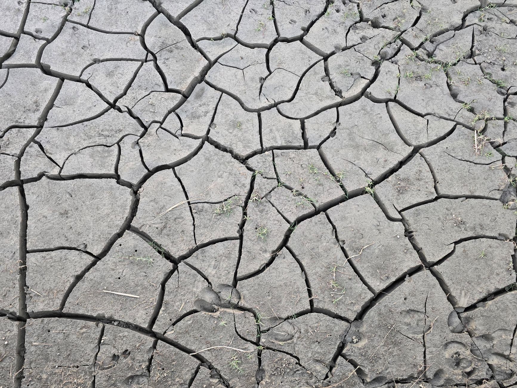 Climate Change Spurs Early Mosquito Biting Patterns ...
