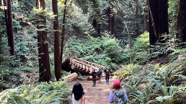 Weekly Hikes at Reinhardt Redwood Regional Park