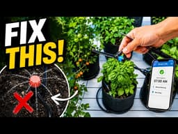 How to Automatically Grow Fruits & Vegetables Outdoors - Deck Garden (What I Did Wrong & Fixed)
