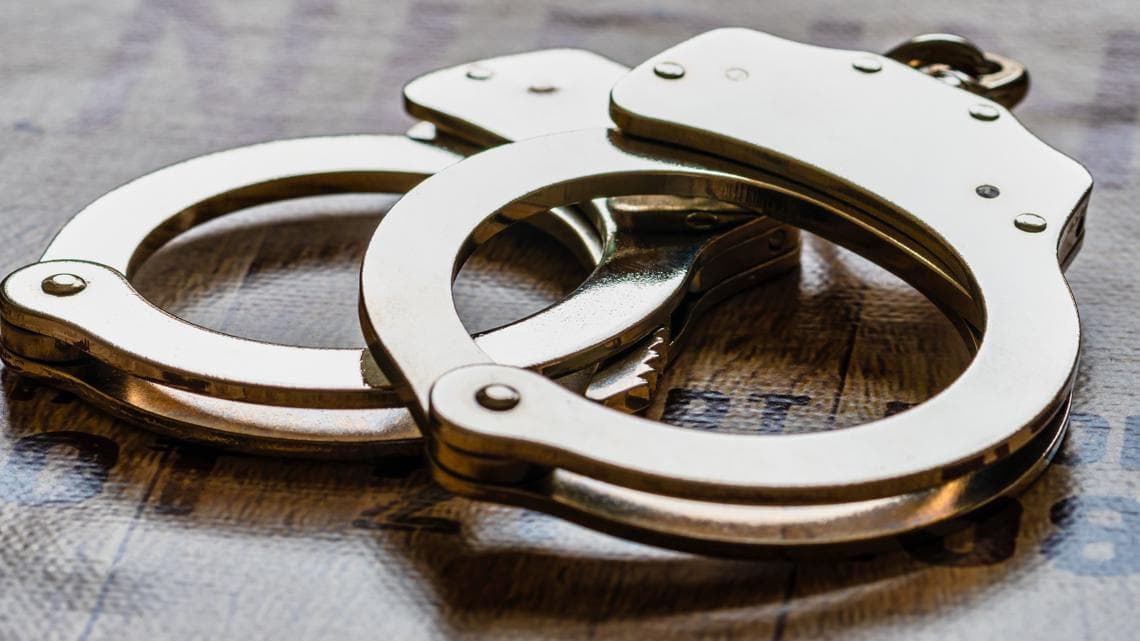Terre Haute K9 helps apprehend man accused of domestic ...