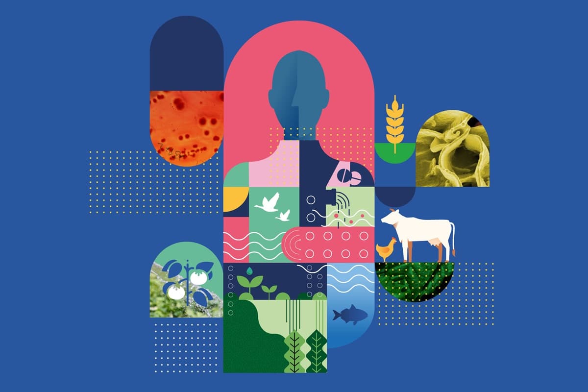 World AMR Awareness Week 2026: One Health, One Action