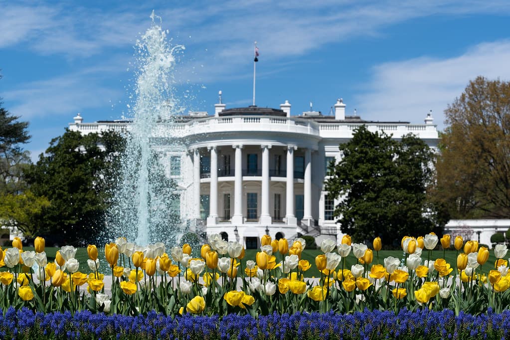 AI Policy Corner: Executive Order: Promoting Advanced Artificial Intelligence Innovation and Security | Montreal AI Ethics Institute