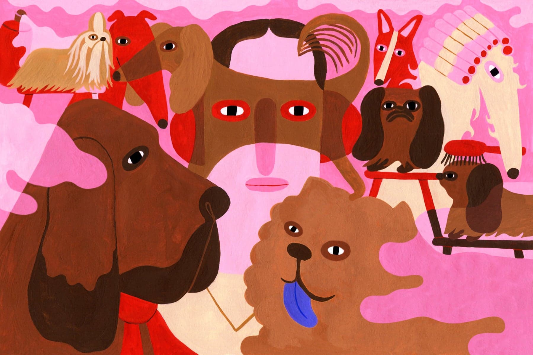What Exactly is a Dog Show
