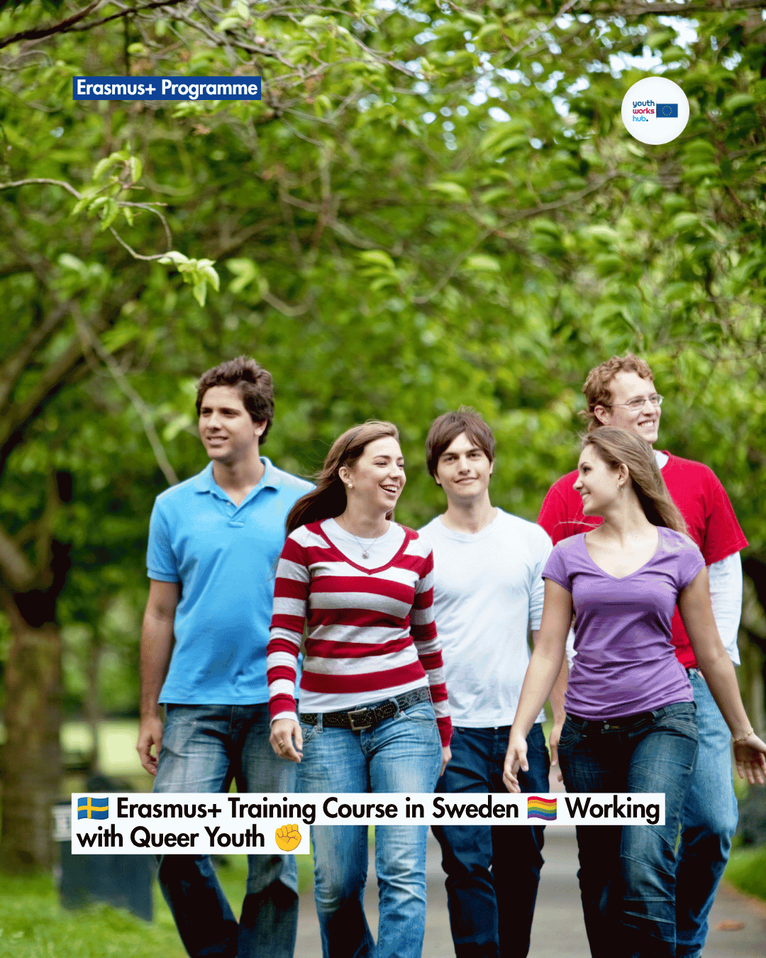 Erasmus+ Training Course in Sweden 🏳️‍🌈 Working with ...