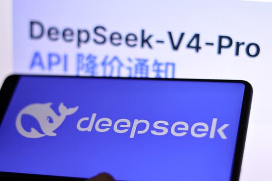 DeepSeek Cuts Flagship AI Model Prices by 75% as Funding Round Looms