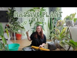 Plant chores I’ve been avoiding… let’s finally do them together