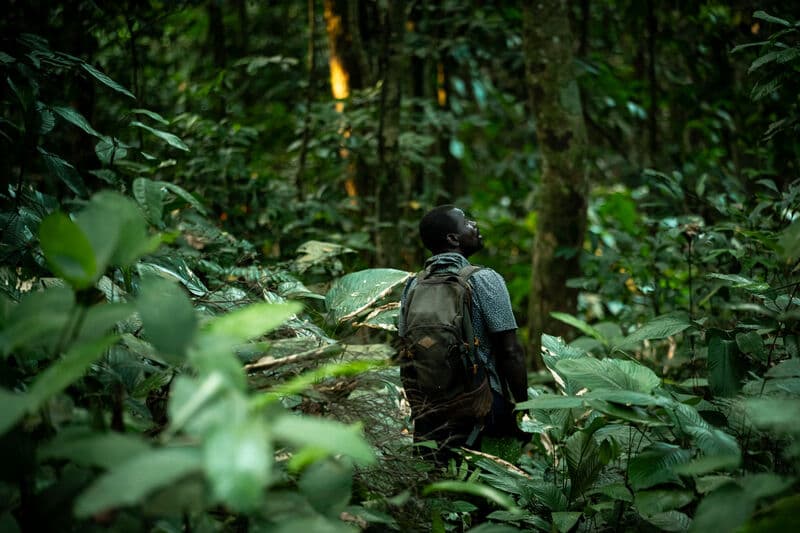 The people closest to the forest are still furthest from funding