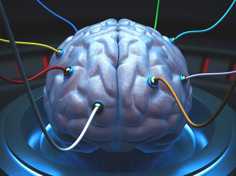 Scientists Have Proven It’s Possible to Bring a Dead Brain ‘Back to Life’—But There’s a Catch