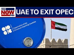 Global energy market reacts as UAE set to leave OPEC this week