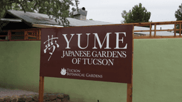 Yume Japanese Gardens reopens in Tucson on Sunday