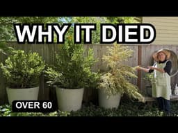 The Drainage Hole Mistake That's Quietly Killing Your Container Plants