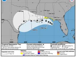Tropical Depression 2 trying to make the best of a challenging environment in the Gulf