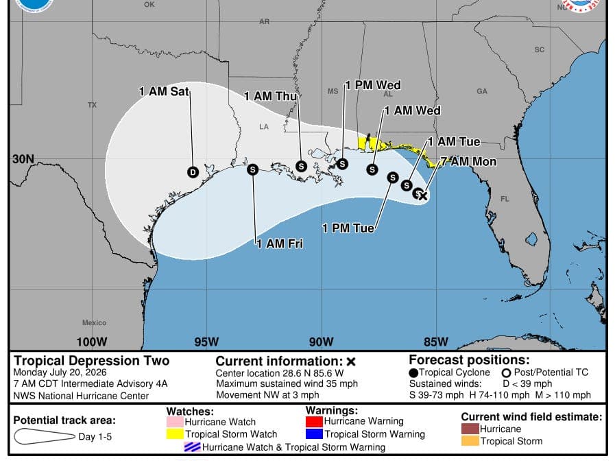 Tropical Depression 2 trying to make the best of a challenging environment in the Gulf