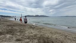 'This is our summer': Bay Area heat draws crowds to beaches