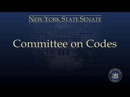 WATCH LIVE: Epstein Survivors Address NY State Senate Codes Committee | NBC New York