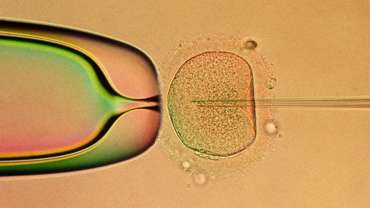 The One Thing Women Wish They'd Known Before IVF