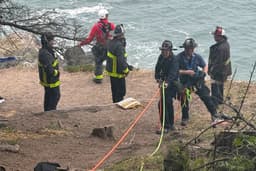 Individual rescued after 100-foot fall off SF cliff on Memorial Day
