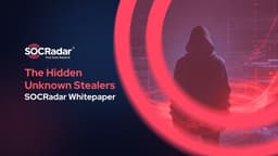 The Unknown Stealers: What's Hidden Below the Radar