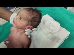 Newborn Baby Crying for Milk 🍼 | First Bottle Feeding Journey | Soothing a Hungry Baby