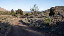 Three Days After Roadless Rule Rescission Proposal, Trump Administration Eases Restrictions for Motorized Traffic in National Forests
