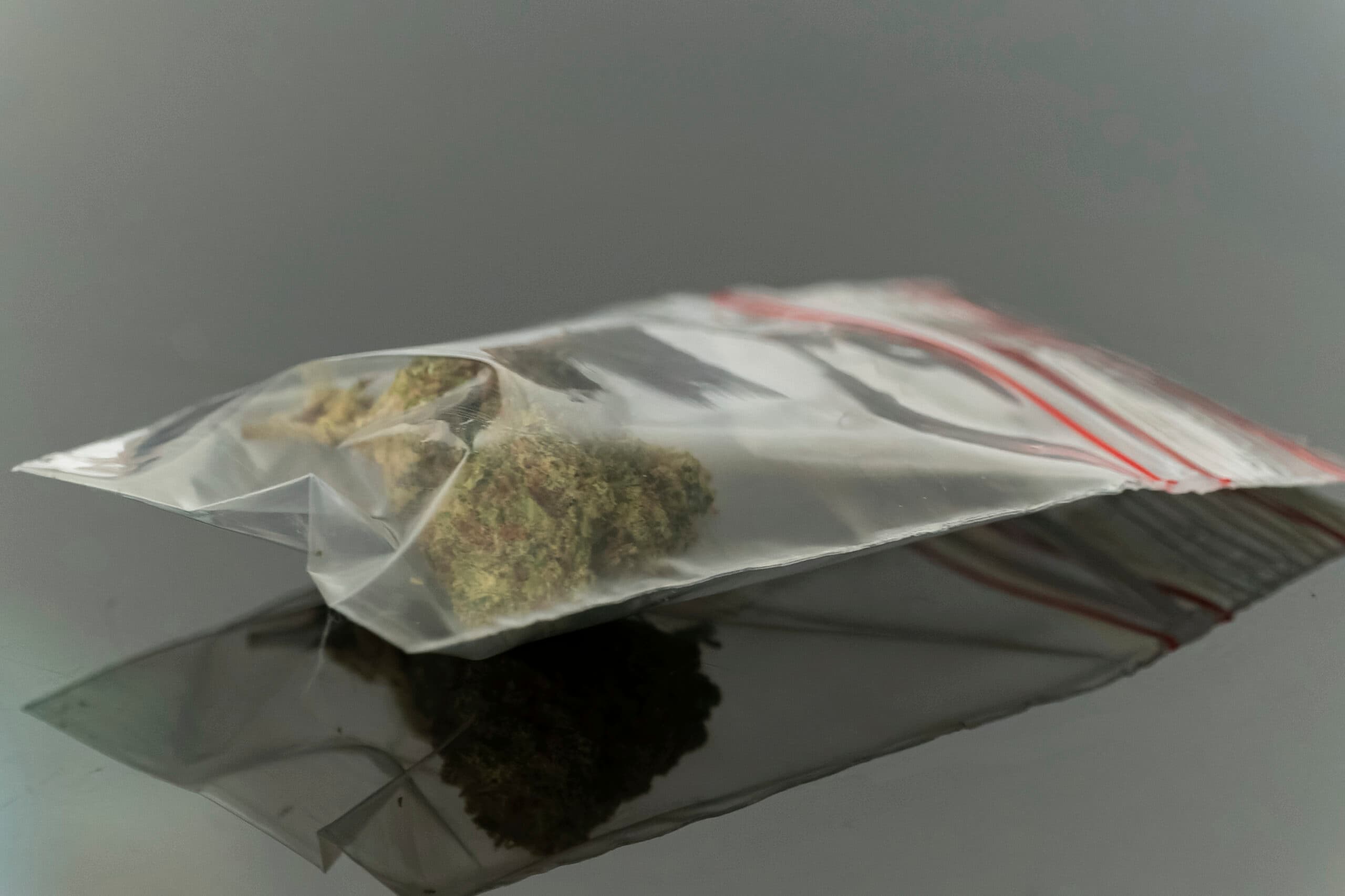Why a Pair of Hemp Companies Are Suing the Federal Government