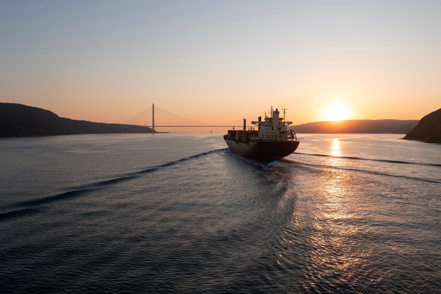 Strait Of Hormuz Disruption And Global Supply Implications | Seeking Alpha