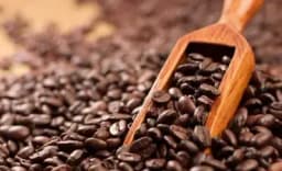 Brazilian researchers remix coffee varieties to confront climate challenge - Markets - Business Recorder