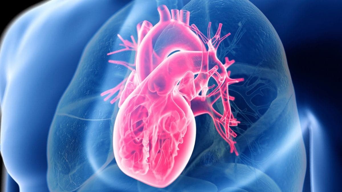 Giant Study Reveals The Secret to Heart Health Isn't Low-Carb or Low-Fat
