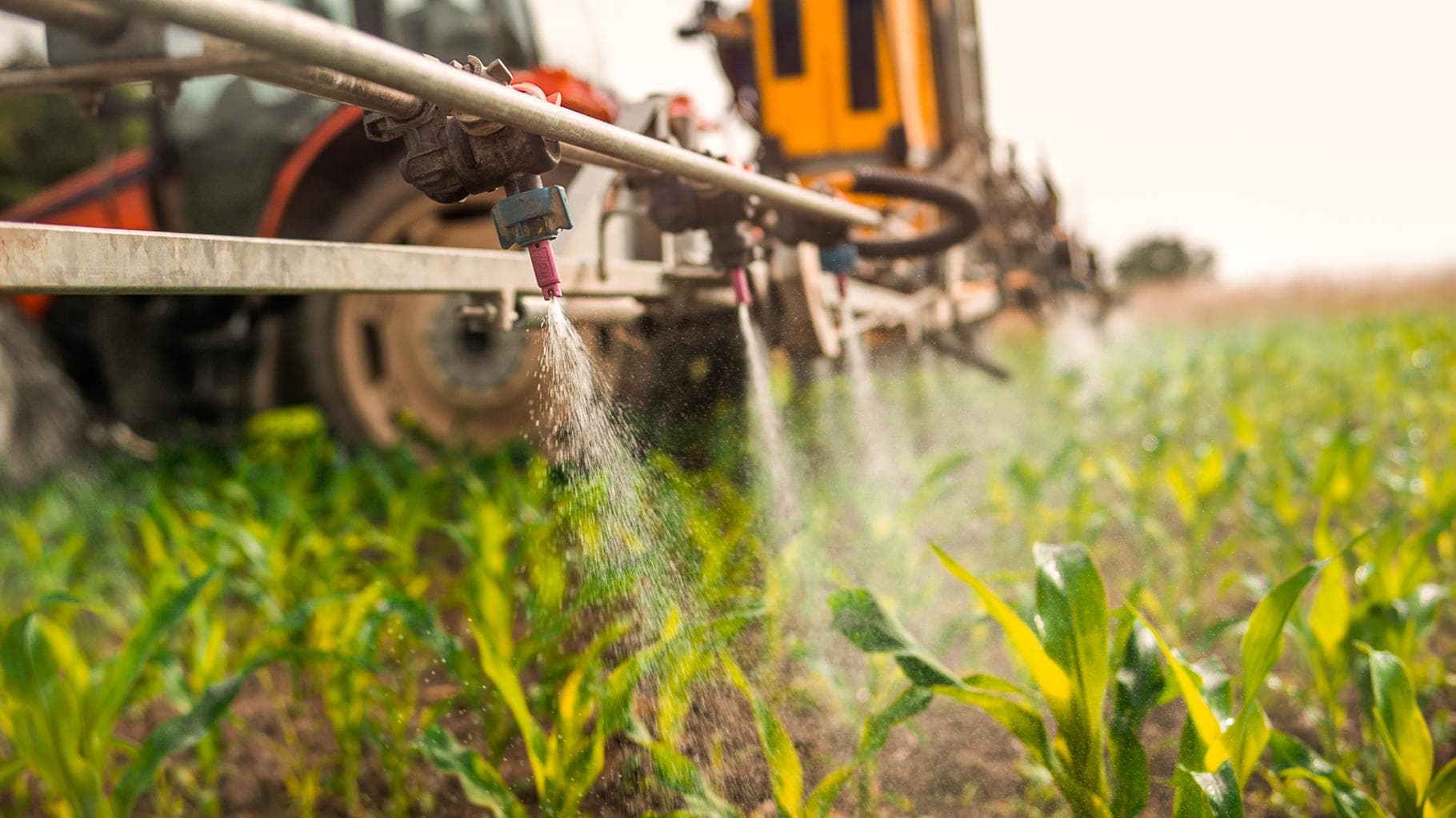 Pesticides : ces sociétés savantes demandent au Conseil ...