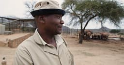 Benjamin and Ithumba's Dry Season Elephant Visitors