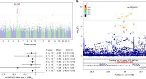 Weight management - Latest research and news | Nature
