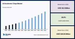 AI Accelerator Chips Market Size, Share, Growth, 2034