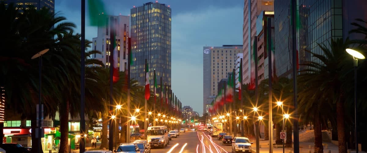 Visit Reforma: Best of Reforma, Mexico City Travel 2026 | Expedia Tourism