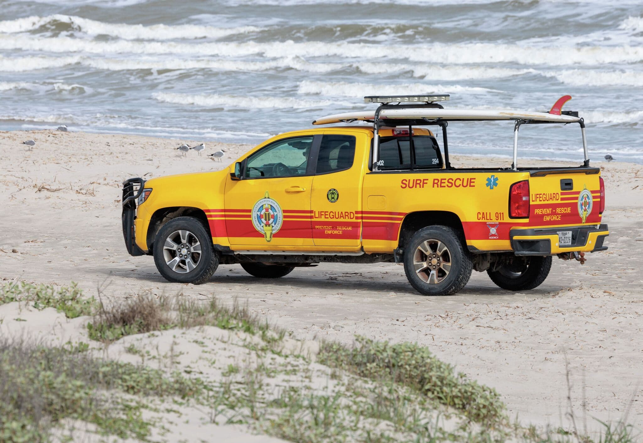 Galveston shark attack prompts rescue operation from Coast Guard