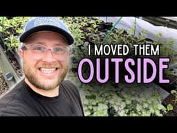 Spring Garden Tour 🌷 + Hardening Off Seedlings (The Easy Way!)