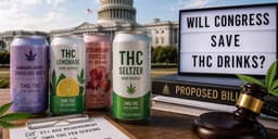 Will Congress Save THC Drinks From the Federal Hemp ...