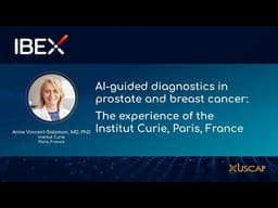 AI-guided diagnostics in prostate and breast cancer: The experience of the Institut Curie,  France