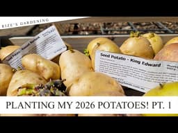 Planting my 2026 Potatoes! (Part 1/2) 🥔