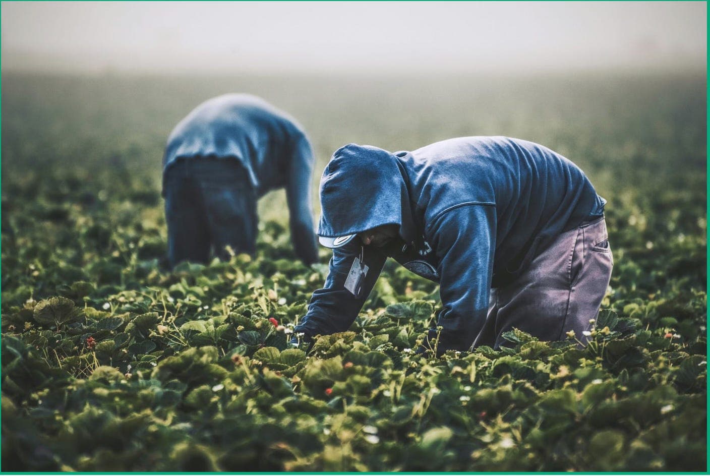 The Immigration Trap