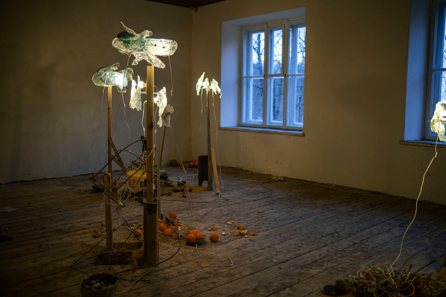 Photo reportage from the exhibition 'Lookfar' by Sophie Durand at the Retrito Smarsas Gallery - Echo Gone Wrong