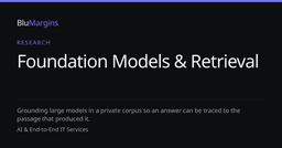 Foundation Models & Retrieval Research | BluMargins