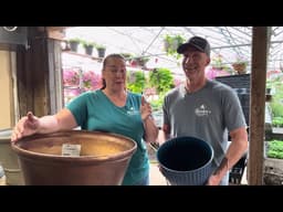 Can You Reuse Old Potting Soil? 🌱 The TRUTH Most Gardeners Don’t Know!