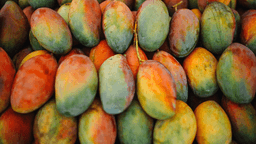 Latest FDA Post-Investigation Summary for Mango Salmonella Outbreak Redacts Key Details | Food Safety Magazine