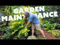 Restoring Overgrown Plants - Jim’s Weekly Garden Game Plan
