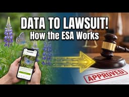 Deconstructing the ESA: Science, Citizen Petitions, and Conservation Litigation