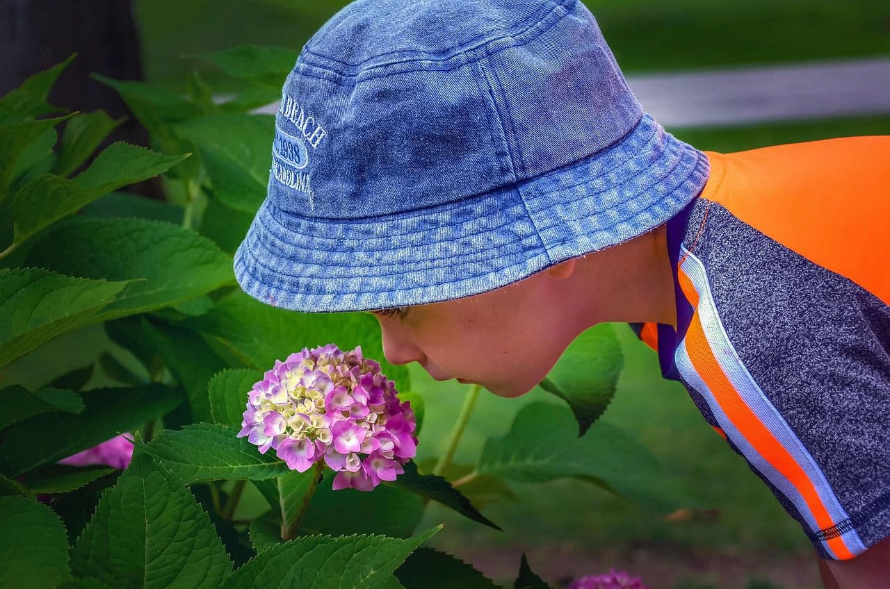 Training children’s sense of smell improves their everyday life, study shows